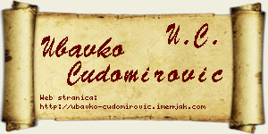 Ubavko Čudomirović vizit kartica